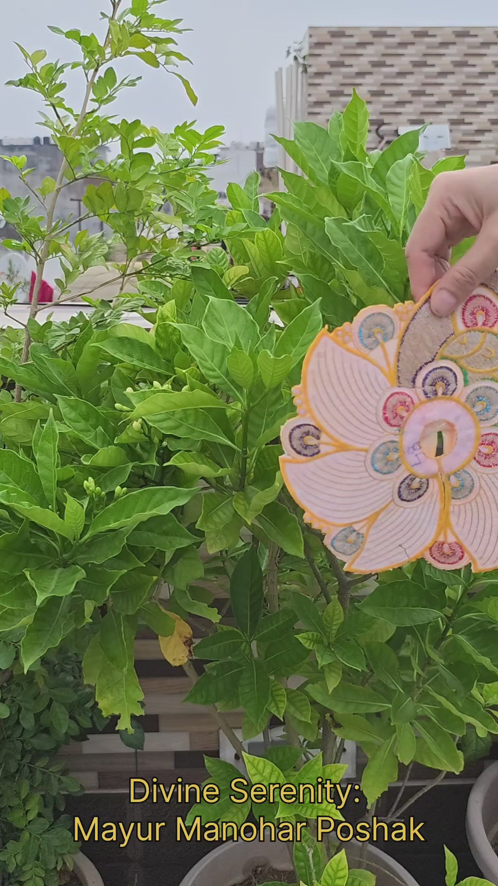 Mayur Manohar Poshak - Yellow